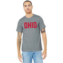 Load image into Gallery viewer, OHIO Distressed T Shirt
