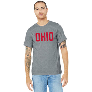 OHIO Distressed T Shirt