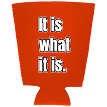 Load image into Gallery viewer, It Is What It Is Pint Glass Coolie