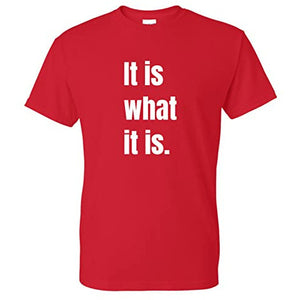 It is What It is Funny T Shirt