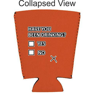 Have You Been Drinking? Pint Glass Coolie