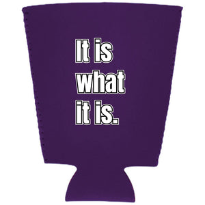 It Is What It Is Pint Glass Coolie