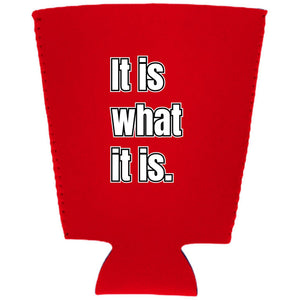 It Is What It Is Pint Glass Coolie
